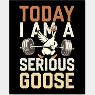 Workout Clothes goose Posters and Art