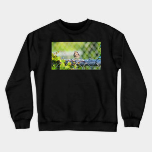 Song Sparrow Perched On a Fence Crewneck Sweatshirt