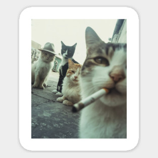 Cat Smoking Funny Gangster Cats Sticker