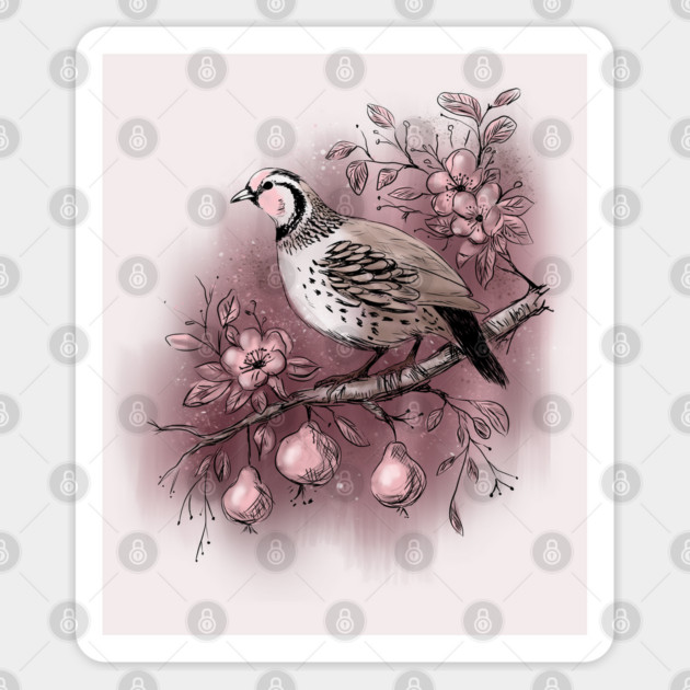 Partridge in a Pear Tree Sticker by H. R. Sinclair