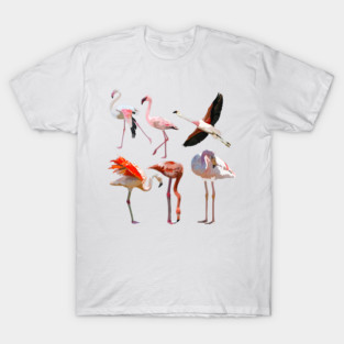 F is for Flamingo T-Shirt