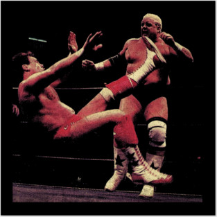 Vintage - Dusty Rhodes Posters and Art