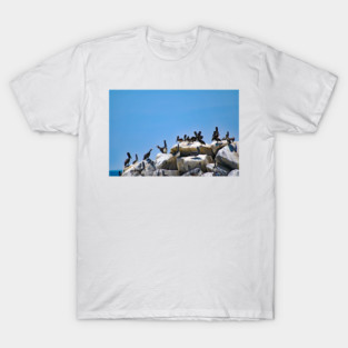 Dana Point T-Shirt