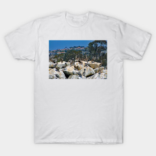 Dana Point T-Shirt