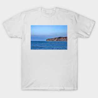 Dana Point T-Shirt
