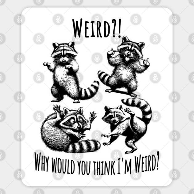 Weird?! Why would You Think I'm Weird? silly raccoons in funny poses Sticker by Luxinda