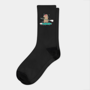 Guinea Pig Surfing Caviidae Guinea Pig Socks