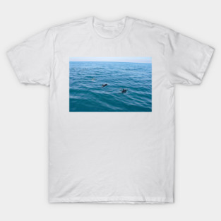 Dana Point T-Shirt