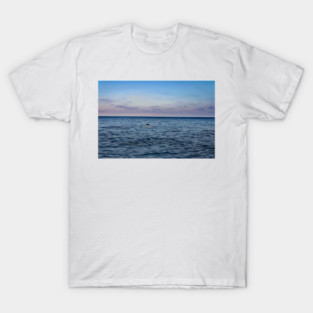 Dana Point T-Shirt