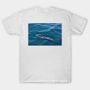 Dana Point T-Shirt