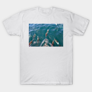 Dana Point T-Shirt