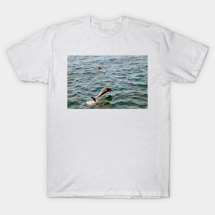 Dana Point T-Shirt