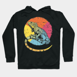 Artistic Iguana Retro Pop Art | Circle Lizard Design Hoodie