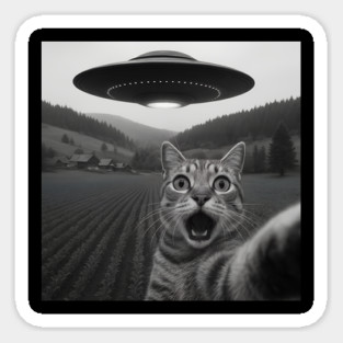 Cat Selfie UFO Sticker