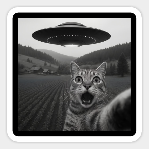 Cat Selfie UFO Magnet by The WYLD Tribe