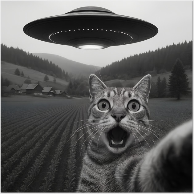 Cat Selfie UFO Wall Art by The WYLD Tribe