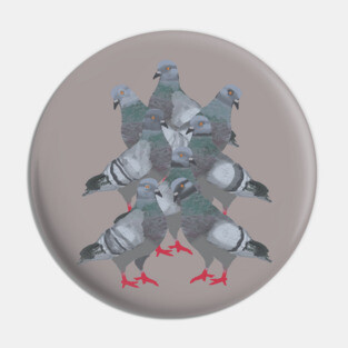 Pigeons Pin