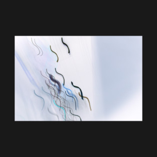 Lightplay Stadium Inversion T-Shirt