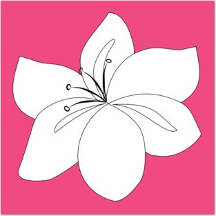 Black and White Line Art Flower, Lily Flower Drawing, Botanical Outline Posters and Art