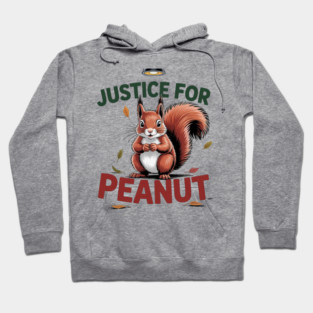 Justice-For-Peanut Hoodie