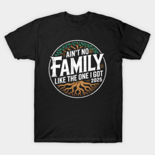 Ain’t No Family Like The One I Got 2025 Shirt T-Shirt