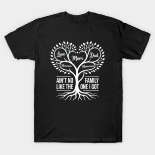 Ain’t No Family Like The One I Got Tree Design Shirt T-Shirt