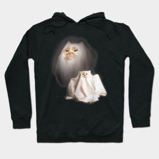 Cat meme Hoodie
