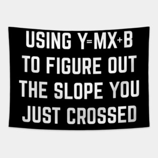 Using Y = Mx + b to Figure Out The Slope You Just Crossed Tapestry