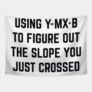 Crossed | Using Y = Mx + b to Figure Out The Slope You Just Crossed Funny Tapestry