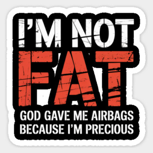 I’m Not Fat God Gave Me Airbags Funny Quote Magnet