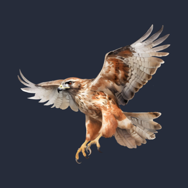 Watercolor Red Tail Hawk – Birdwatcher Nature by Kathy Hawke