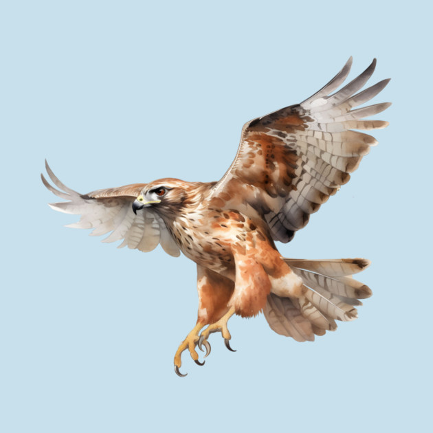 Watercolor Red Tail Hawk – Birdwatcher Nature by Kathy Hawke
