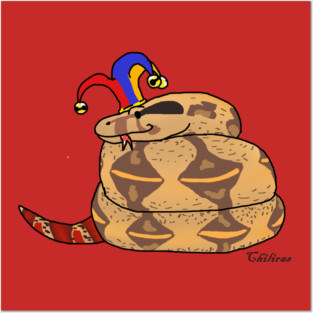 Columbian redtail boa! Posters and Art