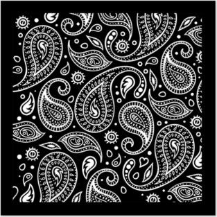 Paisley Posters and Art