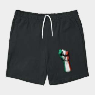 Flag of Mexico on a Raised Clenched Fist Shorts