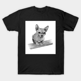 Hairless Cat Big Eyes Pencil Art Illustration T-Shirt