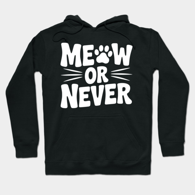 Meow or Never Hoodie by Frank Ring