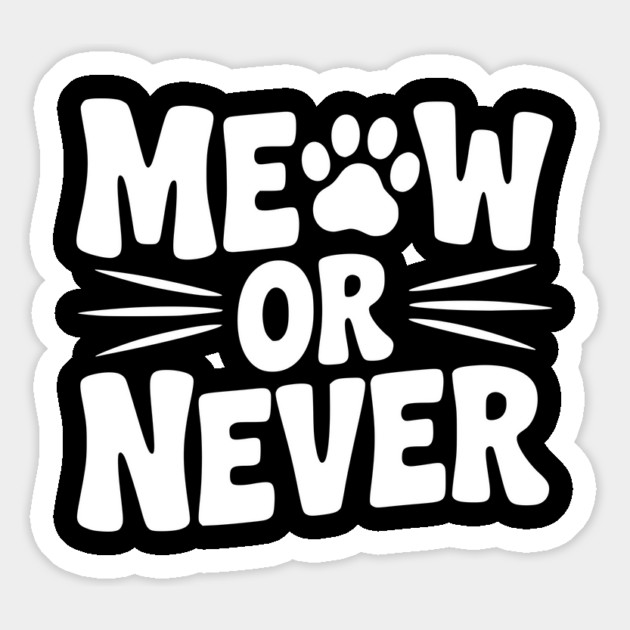 Meow or Never Magnet by Frank Ring