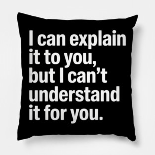 I Can Explain It to You But I Can't Understand It for You Pillow