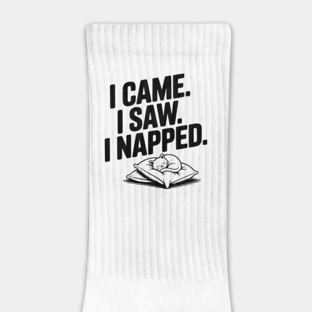 I Came I Saw I Napped by Frank Ring