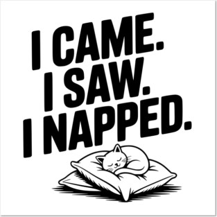I Came I Saw I Napped Posters and Art