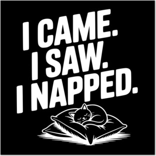 I Came I Saw I Napped Posters and Art