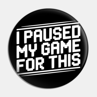 I Paused My Game For This Pin