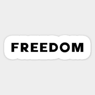 freedom-charlie-kirk-wore Magnet