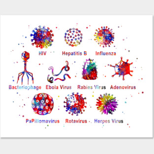 Diagram showing different kinds of viruses, Posters and Art