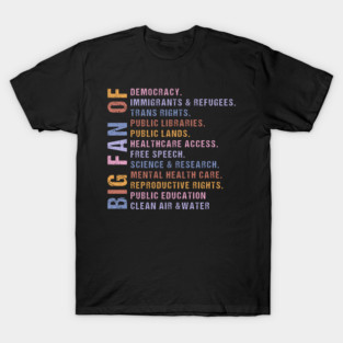 Big Fan of Human Rights, Political Minimalist, No Human is Illegal, Radicalized by Basic Decency, Subtle Anti Trump T-Shirt