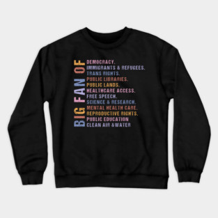 Big Fan of Human Rights, Political Minimalist, No Human is Illegal, Radicalized by Basic Decency, Subtle Anti Trump Crewneck Sweatshirt
