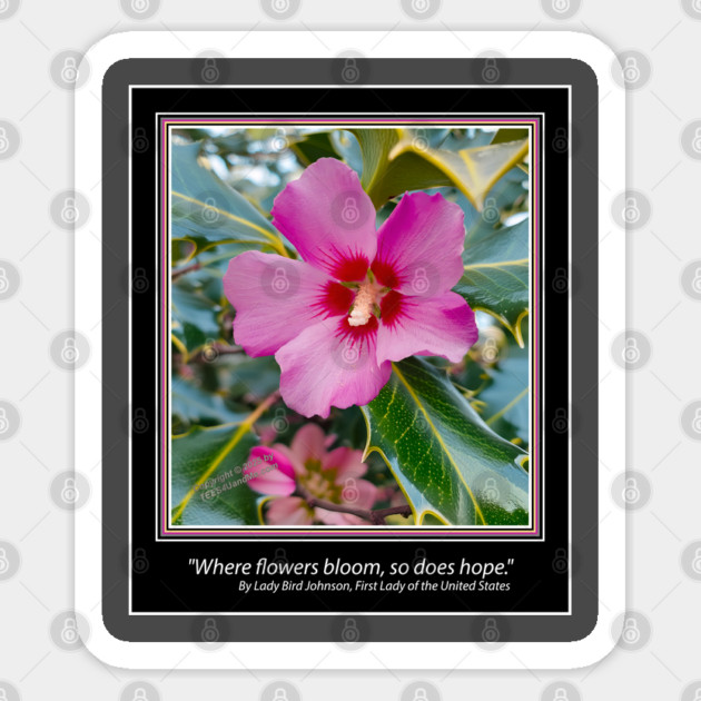 "Where flowers bloom, so does hope." Sticker by Erik's Store