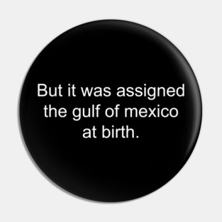 But It Was Assigned Gulf of Mexico at Birth Pin