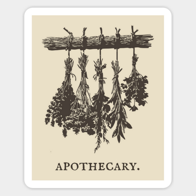 Vintage Hanging Herbs Apothecary Illustration Magnet by TuncGK